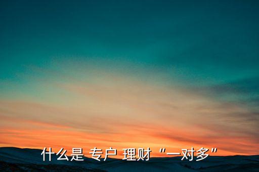 什么是 專戶 理財“一對多”