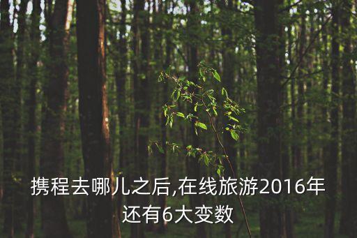 2015中國出境游統(tǒng)計