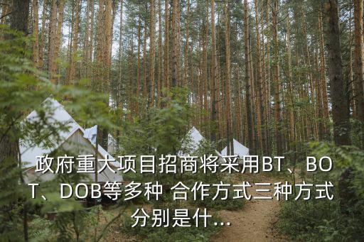  政府重大項目招商將采用BT、BOT、DOB等多種 合作方式三種方式分別是什...