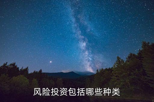 風(fēng)險投資包括哪些種類