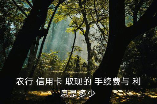 各銀行信用卡取現(xiàn)手續(xù)費和利息,青島銀行信用卡取現(xiàn)手續(xù)費怎么算