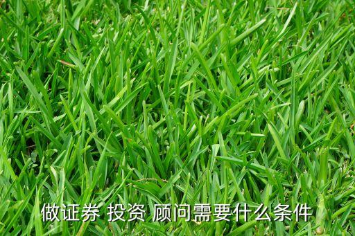做證券 投資 顧問需要什么條件