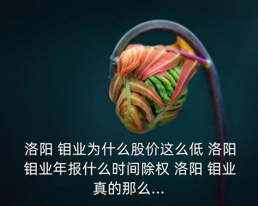  洛陽 鉬業(yè)為什么股價這么低 洛陽 鉬業(yè)年報什么時間除權 洛陽 鉬業(yè)真的那么...