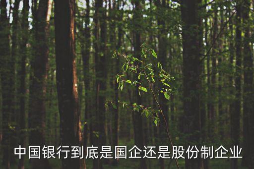 中國銀行屬于什么性質(zhì),小規(guī)模公司開戶哪個銀行好