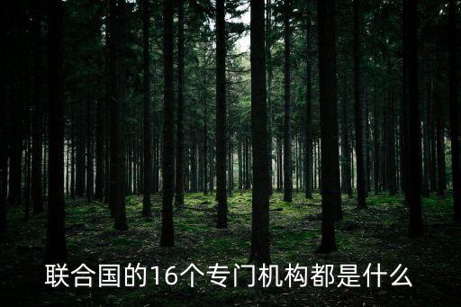 聯(lián)合國的16個專門機(jī)構(gòu)都是什么