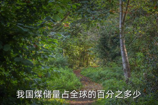 我國煤儲(chǔ)量占全球的百分之多少