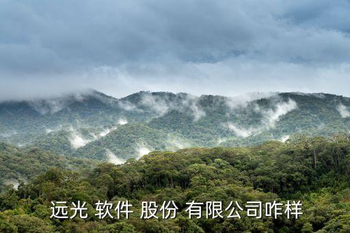 武漢遠(yuǎn)光軟件股份有限公司,遠(yuǎn)光軟件股份有限公司是國(guó)企嗎