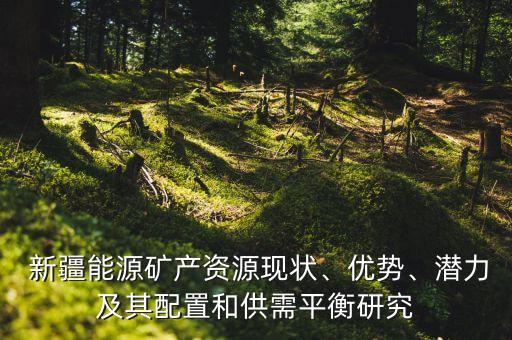  新疆能源礦產(chǎn)資源現(xiàn)狀、優(yōu)勢(shì)、潛力及其配置和供需平衡研究