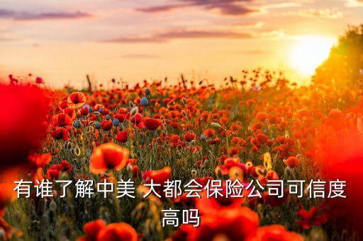 有誰(shuí)了解中美 大都會(huì)保險(xiǎn)公司可信度高嗎