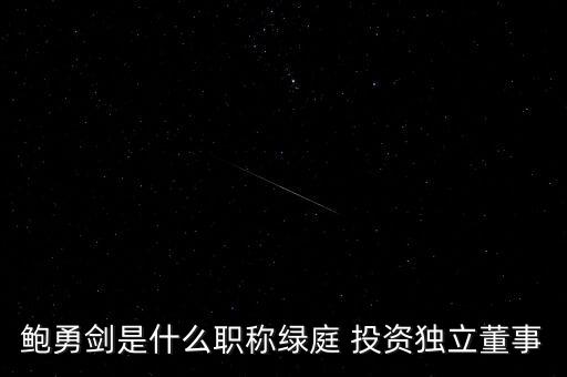 鮑勇劍是什么職稱綠庭 投資獨(dú)立董事