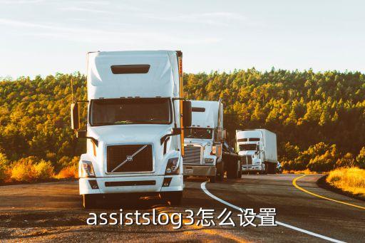 assistslog3怎么設置