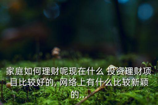 家庭如何理財(cái)呢現(xiàn)在什么 投資理財(cái)項(xiàng)目比較好的, 網(wǎng)絡(luò)上有什么比較新穎的...