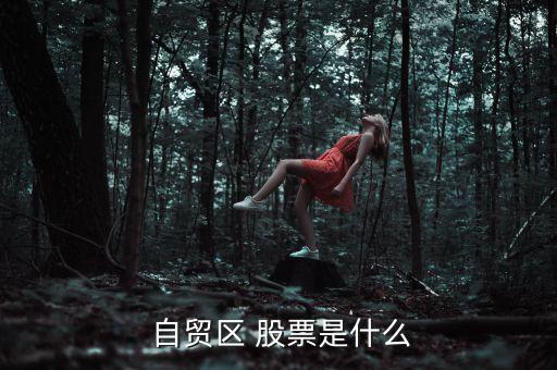  自貿區(qū) 股票是什么
