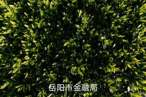 長(zhǎng)沙銀行金芙蓉理財(cái)