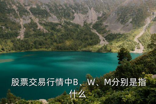  股票交易行情中B、W、M分別是指什么