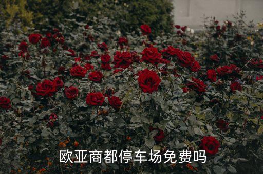  歐亞商都停車(chē)場(chǎng)免費(fèi)嗎