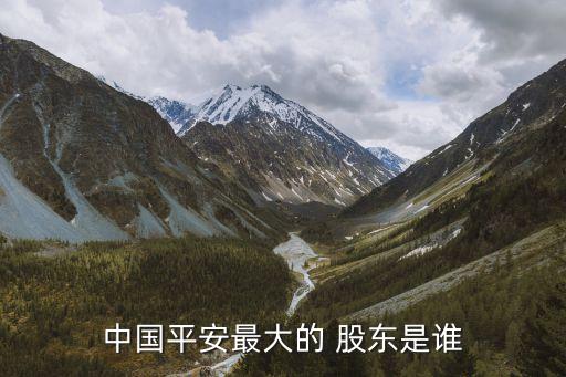 平安保險(xiǎn)集團(tuán)股東,中國平安保險(xiǎn)集團(tuán)股份有限公司股東