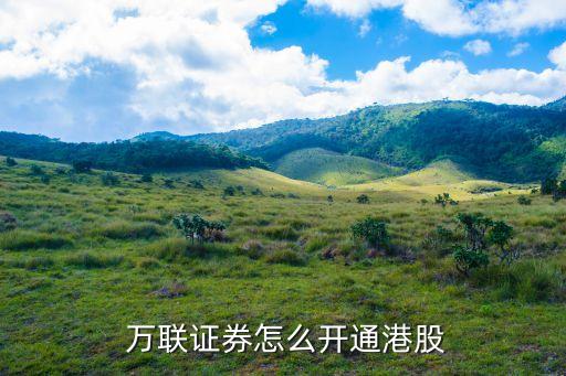  萬聯證券怎么開通港股