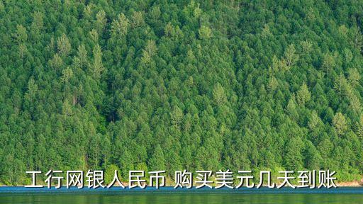 工行網(wǎng)銀人民幣 購(gòu)買美元幾天到賬