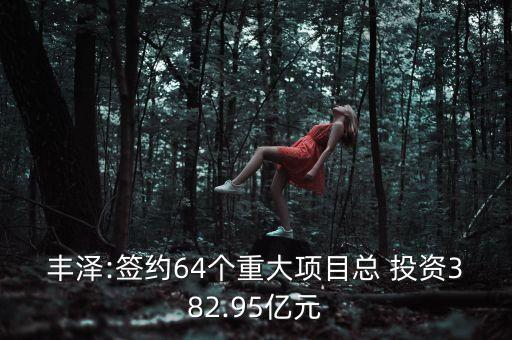 豐澤:簽約64個重大項(xiàng)目總 投資382.95億元