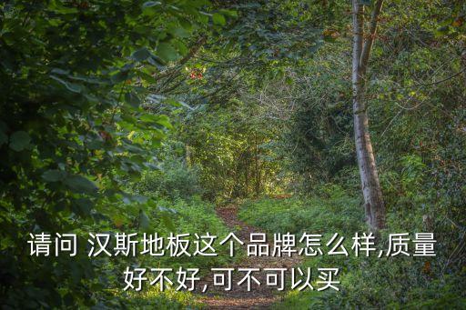 請(qǐng)問(wèn) 漢斯地板這個(gè)品牌怎么樣,質(zhì)量好不好,可不可以買(mǎi)
