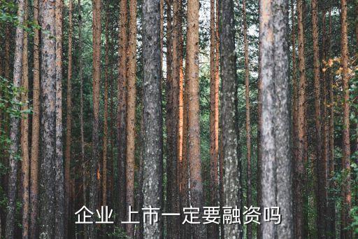 企業(yè) 上市一定要融資嗎