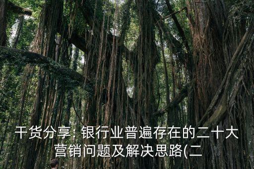 干貨分享: 銀行業(yè)普遍存在的二十大 營銷問題及解決思路(二