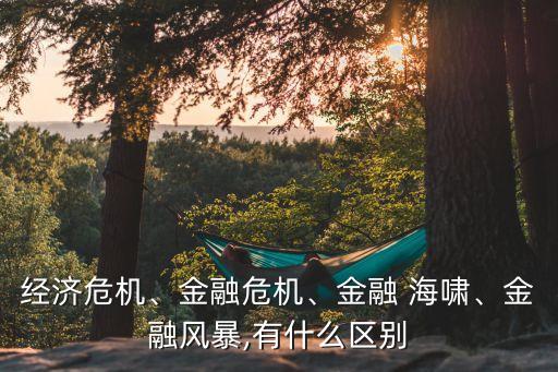 經(jīng)濟(jì)危機(jī)、金融危機(jī)、金融 海嘯、金融風(fēng)暴,有什么區(qū)別