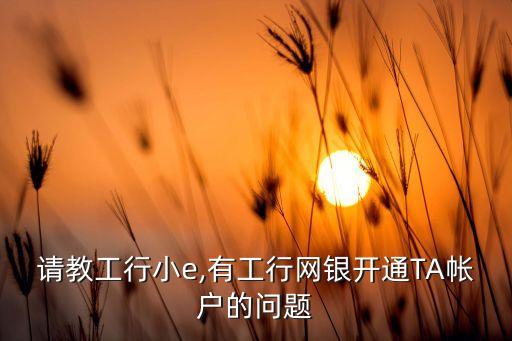 請(qǐng)教工行小e,有工行網(wǎng)銀開通TA帳戶的問題