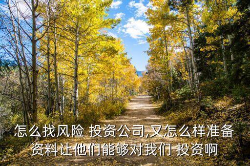 怎么找風(fēng)險 投資公司,又怎么樣準(zhǔn)備資料讓他們能夠?qū)ξ覀?投資啊