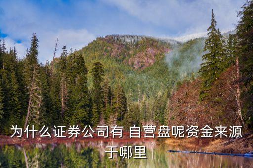 券商自營(yíng)股票,股票券商自營(yíng)盤(pán)怎么查