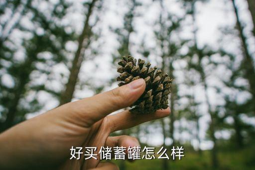 工銀美麗城鎮(zhèn)好買(mǎi)基金網(wǎng)