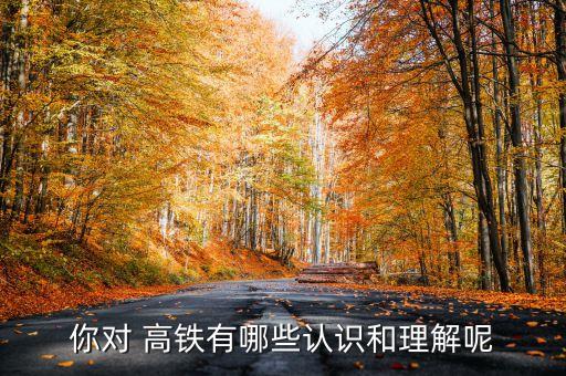 你對 高鐵有哪些認識和理解呢