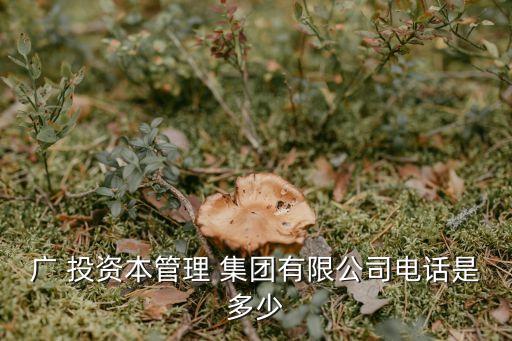 廣 投資本管理 集團有限公司電話是多少