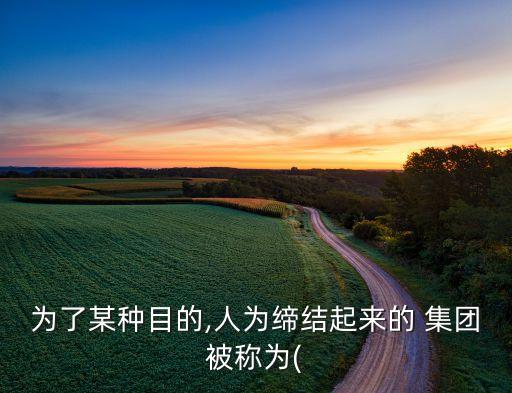 為了某種目的,人為締結(jié)起來的 集團被稱為(
