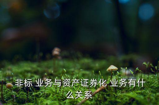 銀行非標(biāo)業(yè)務(wù)涉稅,銀行維護(hù)涉稅信息業(yè)務(wù)是什么意思