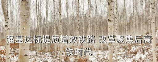 強基達(dá)標(biāo)提質(zhì)增效鐵路 改革聚焦后高鐵時代