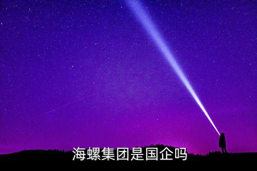  海螺集團(tuán)是國企嗎