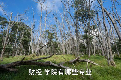財經(jīng) 學(xué)院有哪些專業(yè)
