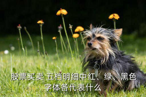  股票買賣 五檔明細(xì)中紅、綠、黑色字體各代表什么
