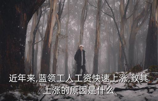 近年來(lái),藍(lán)領(lǐng)工人工資快速上漲,致其上漲的原因是什么