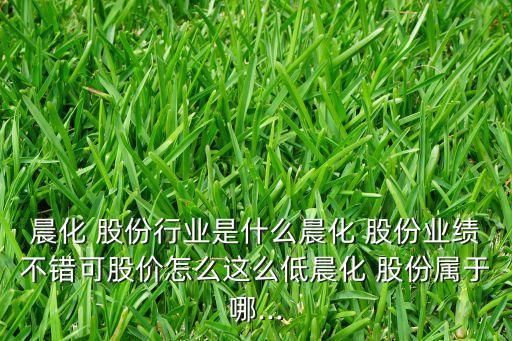 星辰化工新材料股份有限公司,青?；ば虏牧?集團)股份有限公司