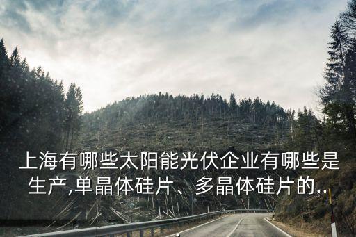  上海有哪些太陽能光伏企業(yè)有哪些是生產(chǎn),單晶體硅片、多晶體硅片的...