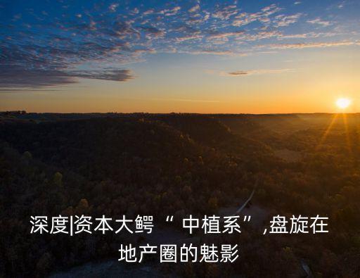 中植集團(tuán)年報(bào)
