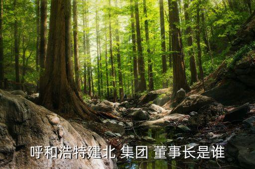 銀座集團(tuán)董事長(zhǎng),山東銀座集團(tuán)董事長(zhǎng)