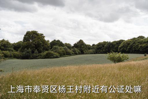 上海超日2013年報
