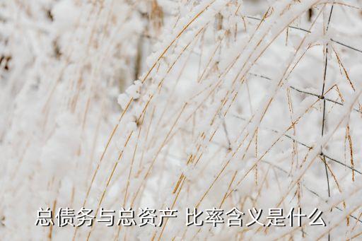 總債務(wù)與總資產(chǎn) 比率含義是什么