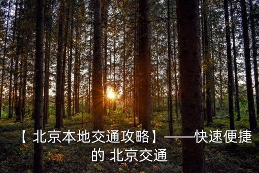 北京公交調(diào)價(jià)建議,建議北京公交取消保安服務(wù)