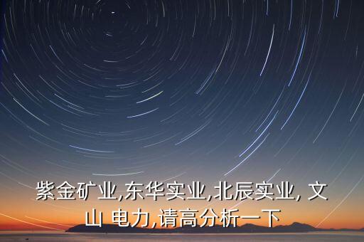 紫金礦業(yè),東華實(shí)業(yè),北辰實(shí)業(yè), 文山 電力,請高分析一下