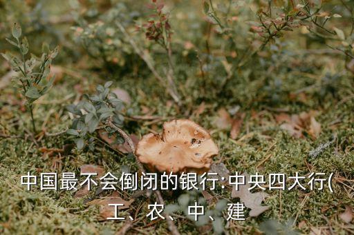中國最不會倒閉的銀行:中央四大行(工、農(nóng)、中、建